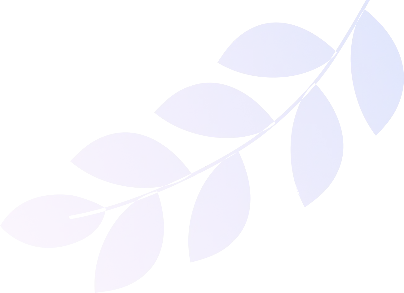 three shape 1 three shape 1